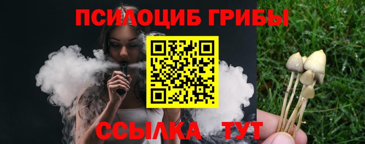Псилоцибиновые грибы GOLDEN TEACHER  Вход с VPN  Серов 
